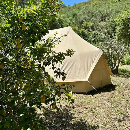 Giant Canvas Tent Agro-turismo Quinta Da Fonte * Figueiro Dos Vinhos