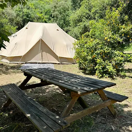 Giant Canvas Tent Agro-turismo Quinta Da Fonte Figueiro Dos Vinhos