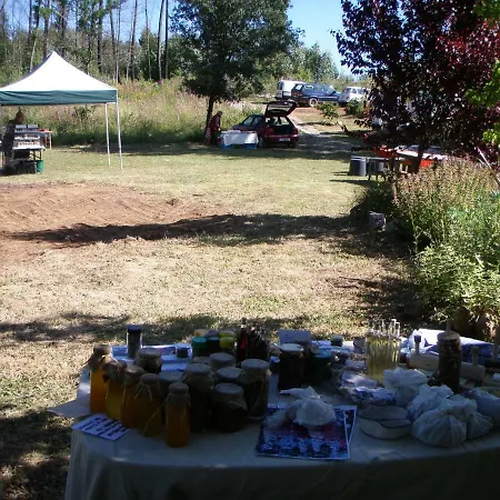 Campismo de Luxo Spacious Tent Agro-turismo Quinta Da Fonte Figueiro Dos Vinhos