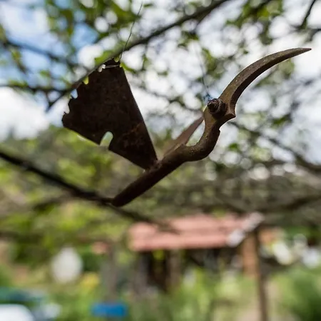 Giant Canvas Tent Agro-turismo Quinta Da Fonte Figueiro Dos Vinhos