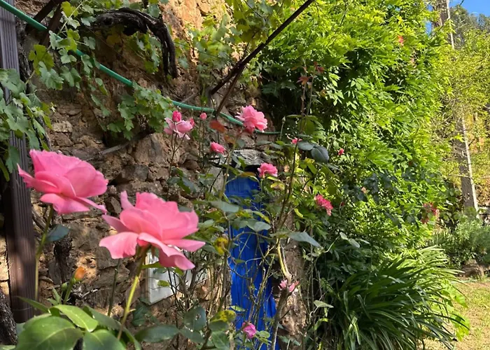 ラグジュアリーテント Giant Canvas Tent Agro-turismo Quinta Da Fonte *