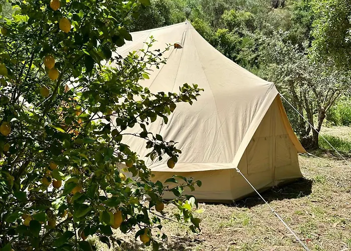 Giant Canvas Tent Agro-turismo Quinta Da Fonte * フィゲイロー・ドス・ヴィーニョス