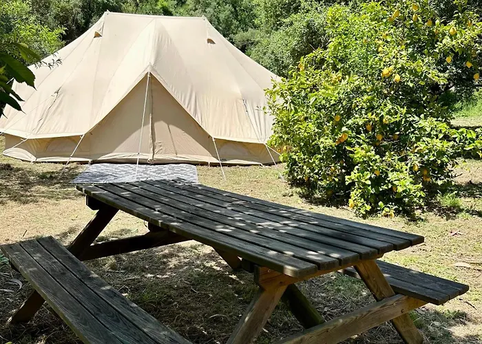 Giant Canvas Tent Agro-turismo Quinta Da Fonte フィゲイロー・ドス・ヴィーニョス