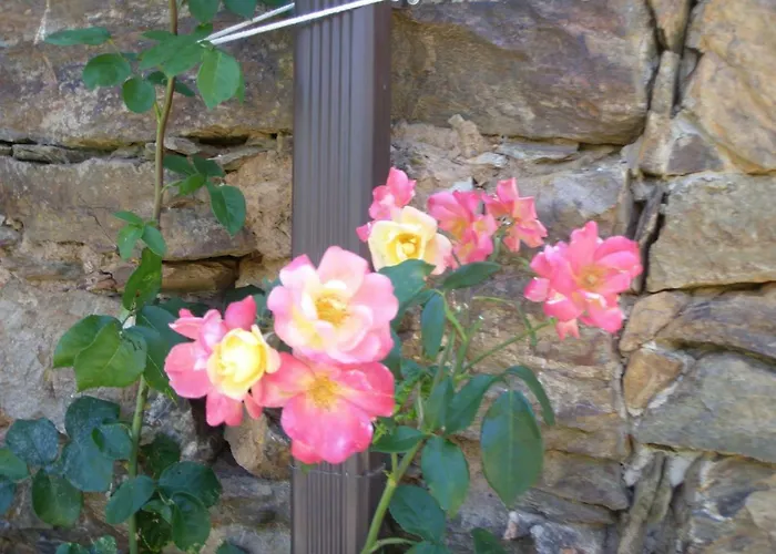 Giant Canvas Tent Agro-turismo Quinta Da Fonte * フィゲイロー・ドス・ヴィーニョス