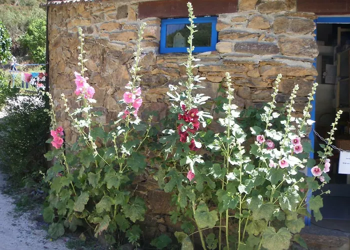 Giant Canvas Tent Agro-turismo Quinta Da Fonte