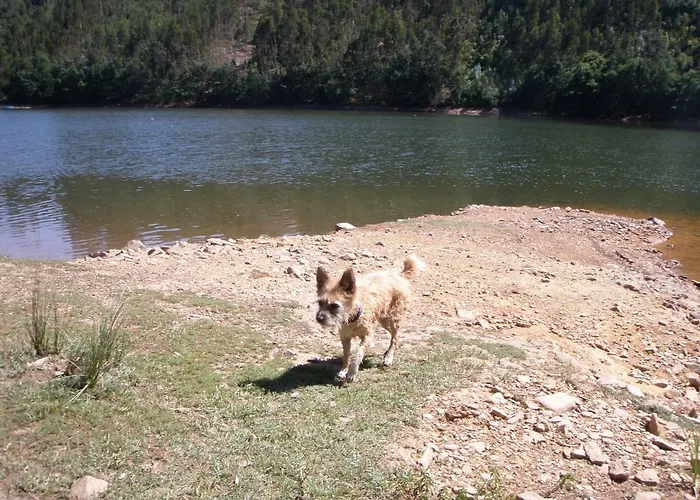 Giant Canvas Tent Agro-turismo Quinta Da Fonte ラグジュアリーテント