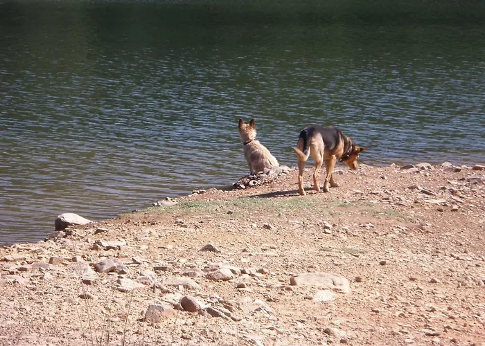 Giant Canvas Tent Agro-turismo Quinta Da Fonte ラグジュアリーテント