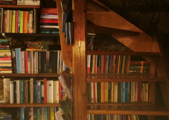 Giant Canvas Tent Agro-turismo Quinta Da Fonte * פיגרו דוס ויניוס