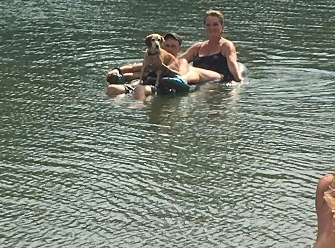 ラグジュアリーテント Giant Canvas Tent Agro-turismo Quinta Da Fonte フィゲイロー・ドス・ヴィーニョス