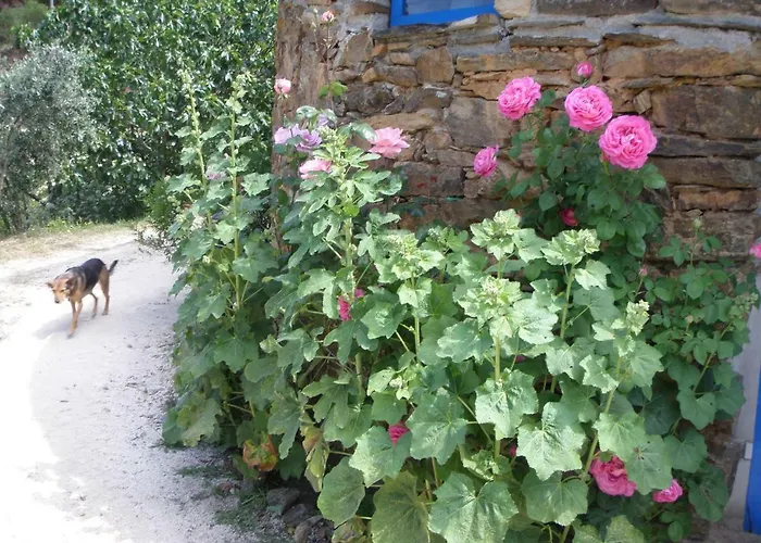 ラグジュアリーテント Giant Canvas Tent Agro-turismo Quinta Da Fonte *