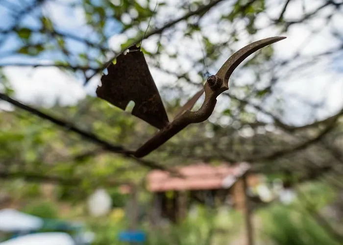 Giant Canvas Tent Agro-turismo Quinta Da Fonte フィゲイロー・ドス・ヴィーニョス